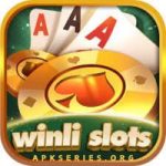 Winli Slots Game App